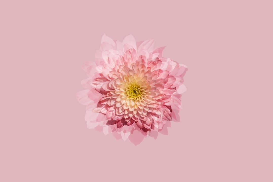 http://upload.mnw.cn/2025/0828/1756348940776.png